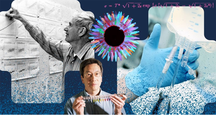 Montage of images featuring UC San Diego research discoveries