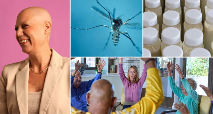 montage of different photos - research lab vials, mosquito, cancer patients exercising