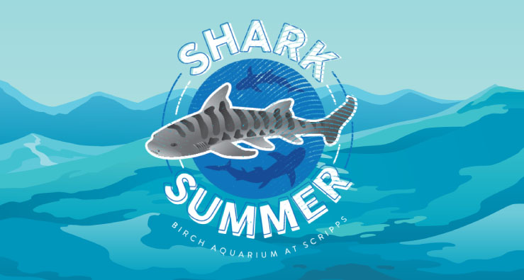 Shark Summer -- cartoon illustration with text