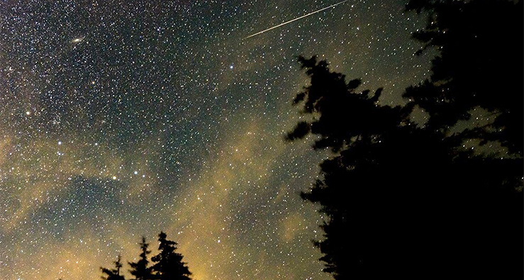 The dark night sky is peppered with the light of millions of stars -- with one bright streak of a Perseid meteor across the top -- silhouettes of tall trees frame the photo