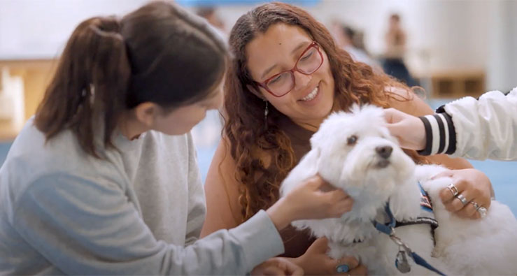 Two UCSD community members cuddle a small white, fluffy dog
