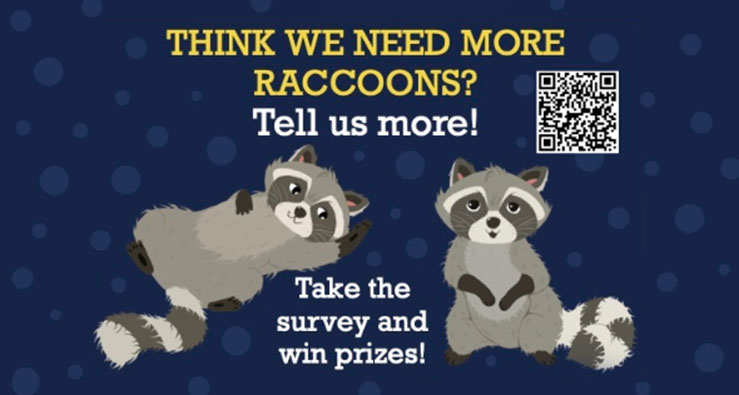 UCSD UCUES Survey -- dark blue background and cute raccoon illustration :)