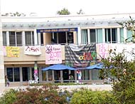 Greek rush banners at the Price Center