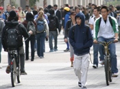 UC San Diego / students on Library Walk