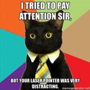 I tried to pay attention Sir, but your laser pointer was very distracting - business cat
