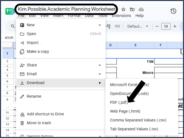 Screen shot - TSS Specializations app - add minor - download your completed worksheet as a PDF